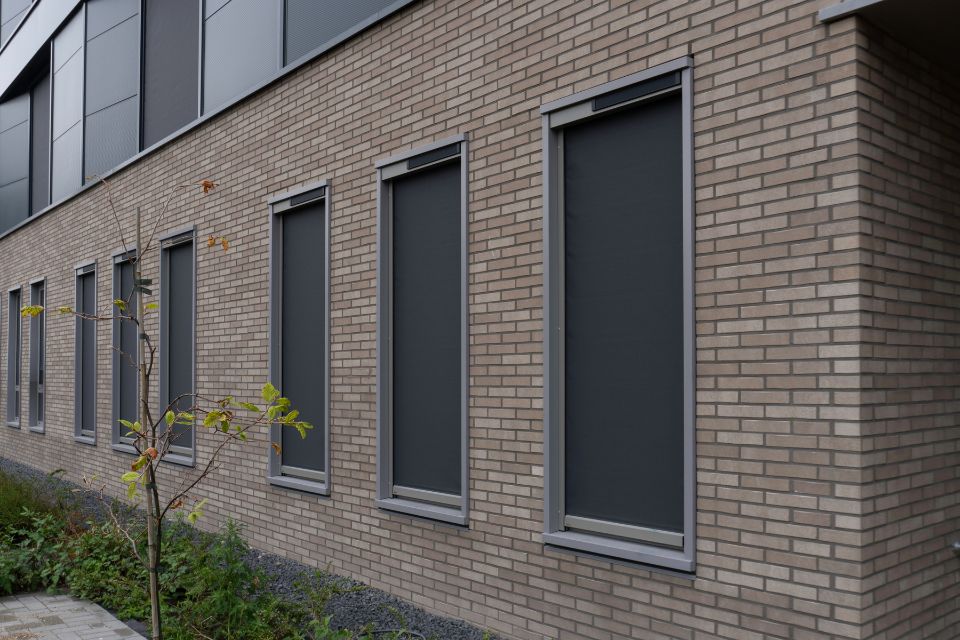 De Wetering 4